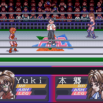 Bishoujo Wrestler Retsuden – Blizzard Yuki Rannyuu!! (Japan)