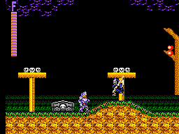 Ghouls’n Ghosts (USA, Europe)