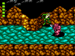 Battletoads (Europe)