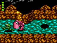 Battletoads (USA)