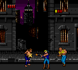 Double Dragon (USA, Europe)