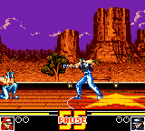 Garou Densetsu Special (Japan)