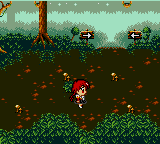 Magic Knight Rayearth (Japan)