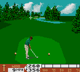 PGA Tour 96 (USA, Europe)