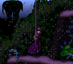 Donkey Kong Country – Expert Edition