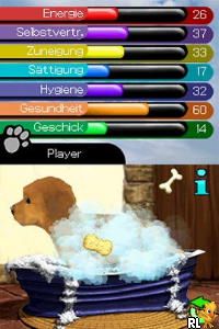 Paws & Claws – Best Friends – Dogs & Cats (USA)