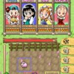 Puzzle de Harvest Moon (USA)