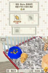 Petz – Hamsterz Life 2 (USA)