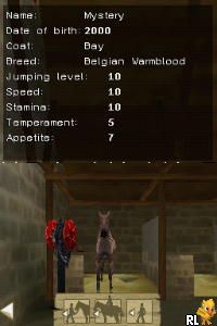 Real Adventures – Wild Horses – The Quest for the Golden Horse (Europe) (En,Fr,De,Es,It)