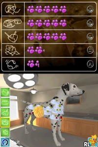 Pet Pals – Animal Doctor (USA)