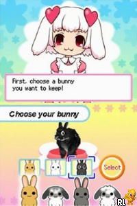 Petz – Bunnyz (USA) (En,Fr,De,Es,It,Nl)