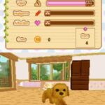 Petz – Dogz Fashion (USA)