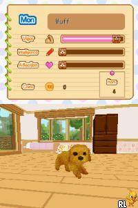 Petz – Dogz Fashion (USA)