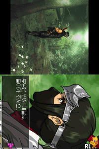 Ninja Gaiden – Dragon Sword (Korea)