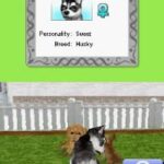 Petz – My Puppy Family (Europe) (En,Fr,De,Es,It,Nl,Sv,No,Da)