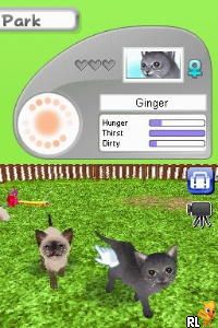 Petz – Catz Clan (USA) (En,Fr,De,Es,It,Nl,Sv,No,Da)