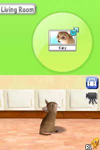 Petz – My Kitten Family (Europe) (En,Fr,De,Es,It,Nl,Sv,No,Da)