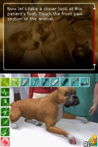 Real Adventures – Pet Vet (Europe) (En,Nl,Sv,No,Da)