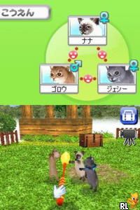 Petz – Catz – Koneko to Issho ni Tanoshiku Asobou (Japan)