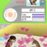 Petz – Dogz – Koinu to Issho ni Tanoshiku Asobou (Japan)