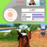 Petz – Horsez – Kouma to Issho ni Tanoshiku Asobou (Japan)