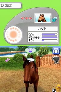 Petz – Horsez – Kouma to Issho ni Tanoshiku Asobou (Japan)