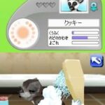 Petz – Monkeyz – Osaru to Issho ni Tanoshiku Asobou (Japan)