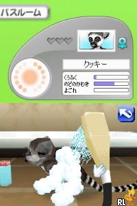 Petz – Monkeyz – Osaru to Issho ni Tanoshiku Asobou (Japan)