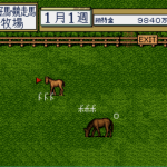 Thoroughbred Breeder (Japan)