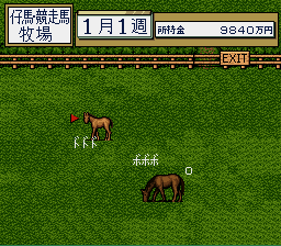 Thoroughbred Breeder (Japan)