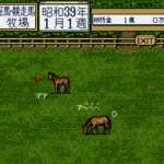 Thoroughbred Breeder II (Japan)