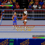 WWF Royal Rumble (USA)