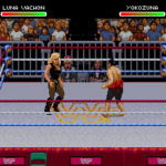 WWF Raw (USA)