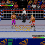 WWF Royal Rumble (Japan)