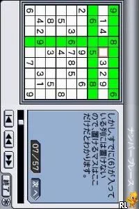 DS Puzzler – Nanpure Fan & Oekaki Logic (Japan)